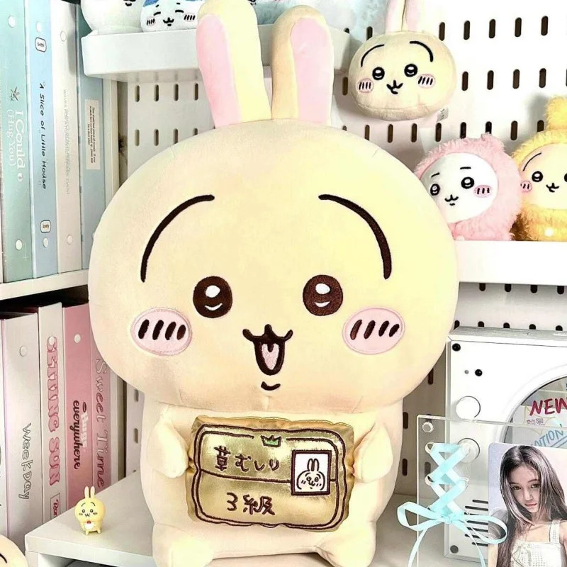 kf-Sd7b4ec5018bf44469783a5fd5b78a960Z Chiikawa Series Plush Toys